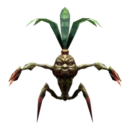 Mandragora Sprout