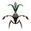 Mandragora Sprout