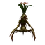Mandragora Sapling
