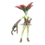 Forest Runner