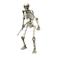 Dungeon Skeleton