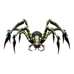 Venomous Spider