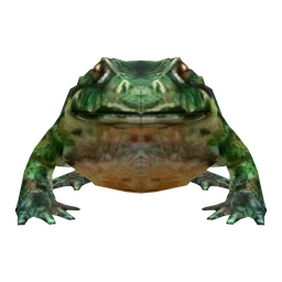Toad Lord