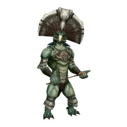 Shaman of the Plains